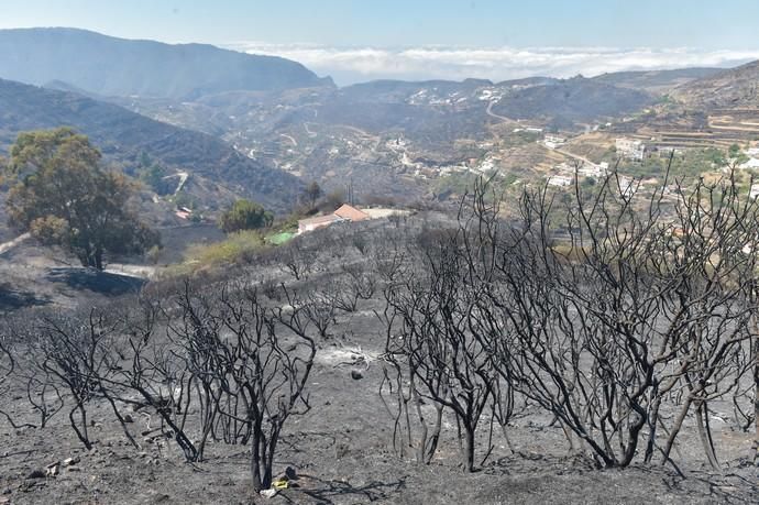 11-08-2019 Artenara. Segundo día del incendio en la cumbre  | 11/08/2019 | Fotógrafo: Andrés Cruz