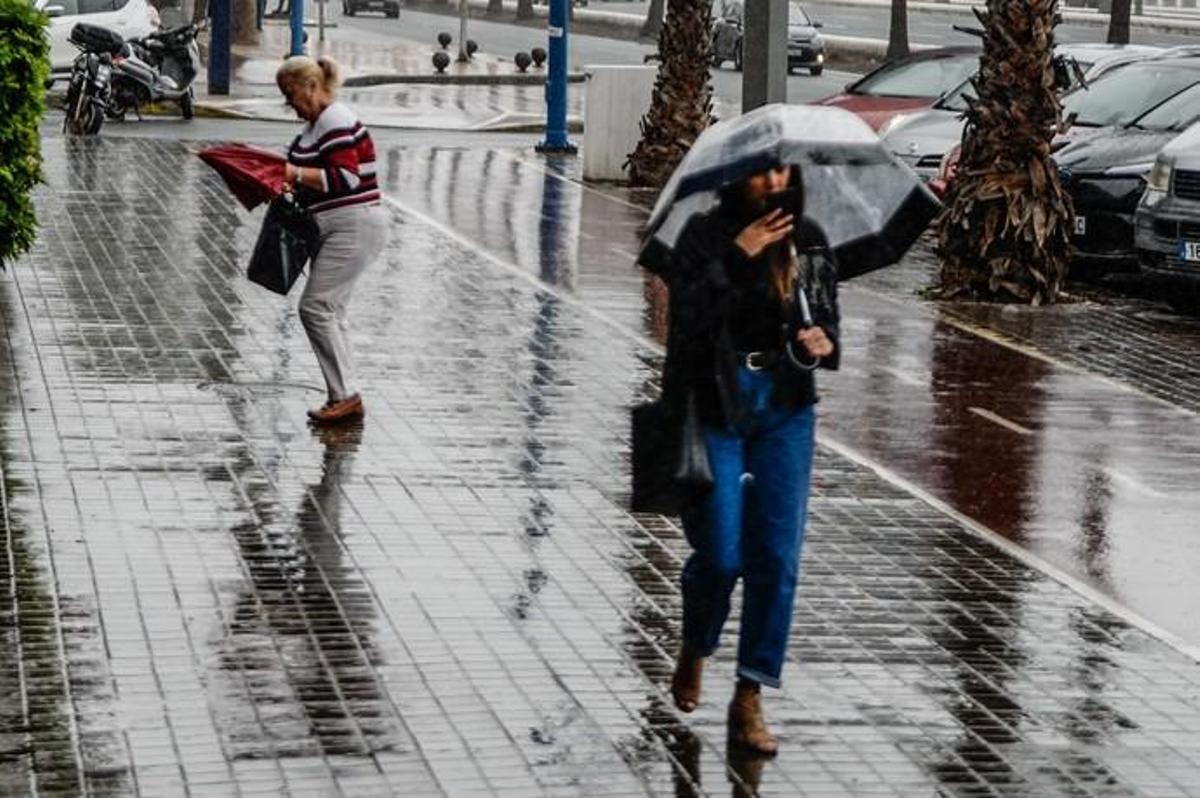 Las Palmas de Gran Canaria. Lluvia. | 19/11/2019 | Fotógrafo: José Carlos Guerra Las Palmas de Gran Canaria. Lluvia. | 19/11/2019 | Fotógrafo: José Carlos Guerra