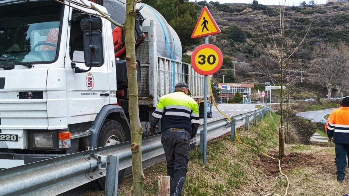 Operaris treballant en la plantació d'arbrat a la carretera de Ribes