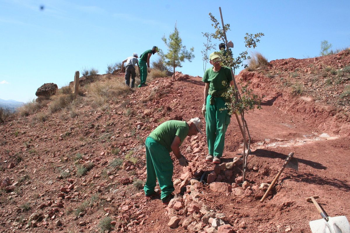 Los jardineros daban este lunes los últimos retoques a los ejemplares de pinos, encinas, lentiscos, romeros y lavandas que se colocaban por todo el recorrido.