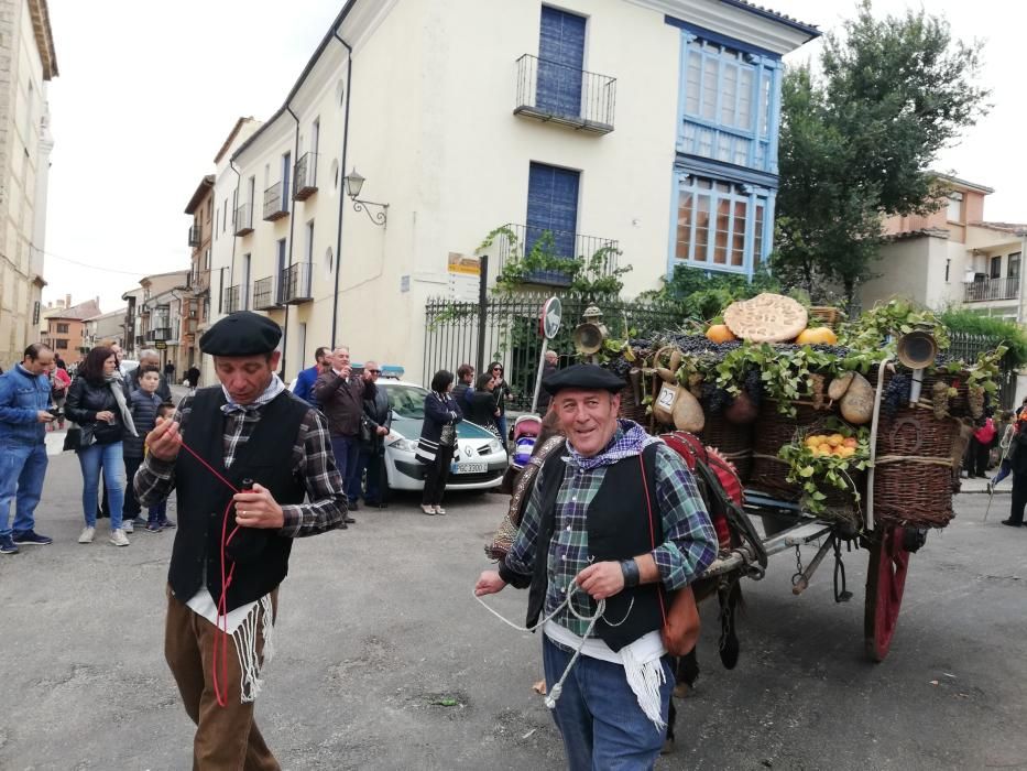 Desfile de carros de la Fiesta de la Vendimia