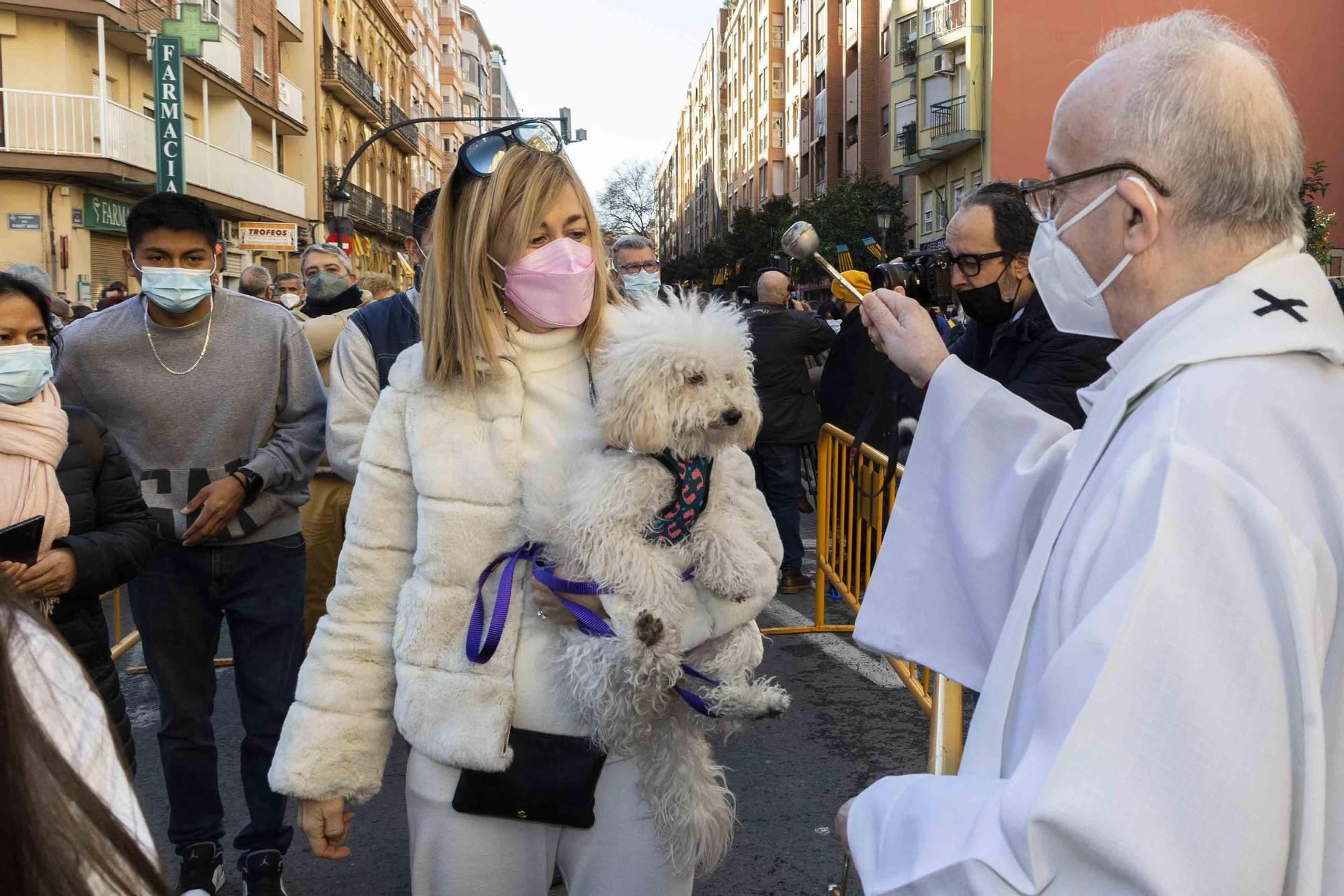 Búscate en la bendición de animales de Sant Antoni