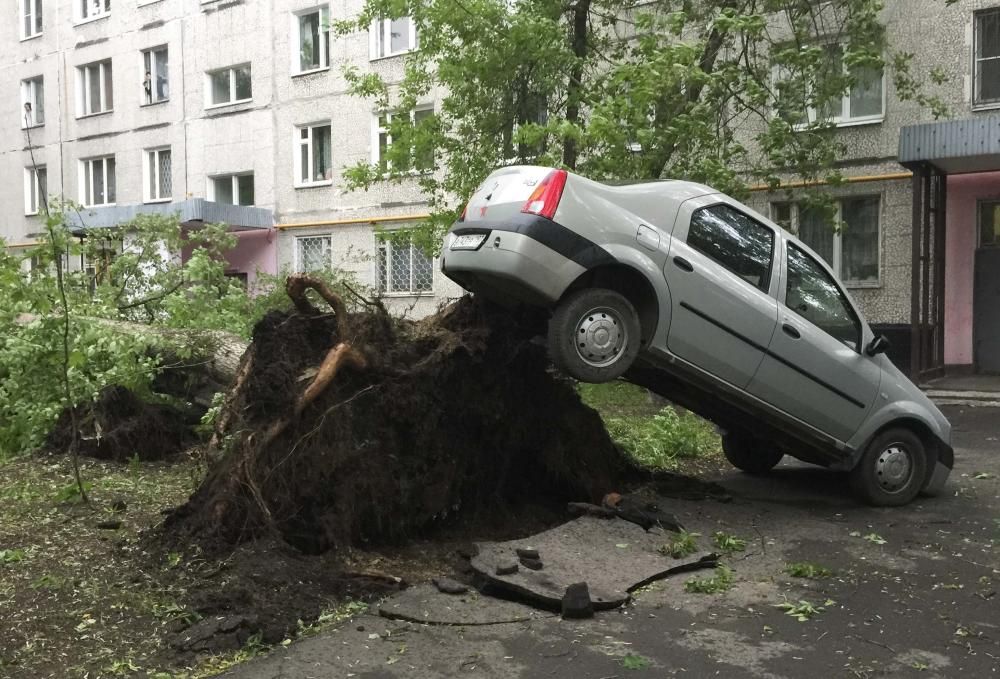 Un fuerte temporal de lluvia y vientos huracanados causó hoy la muerte de al menos once personas en Moscú, casi todos por caídas de árboles.