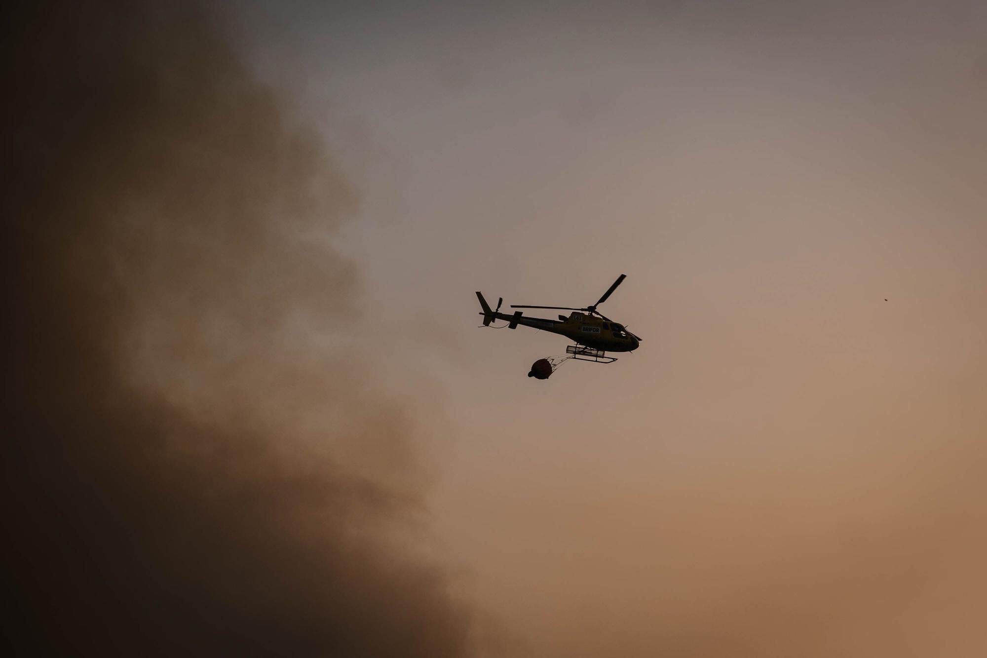 El incendio forestal de Tenerife, en imágenes