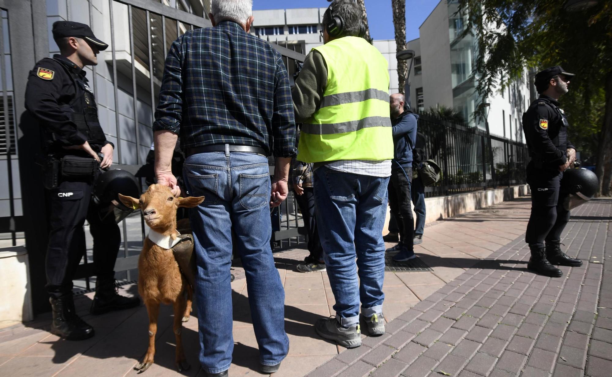 FOTOS: Las protestas de los agricultores murcianos el 21F, en imágenes