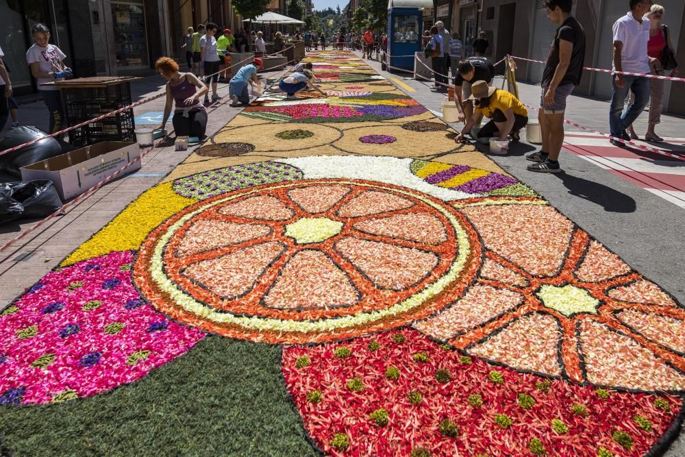 El concurs de catifes de flors naturals omple Arbúcies