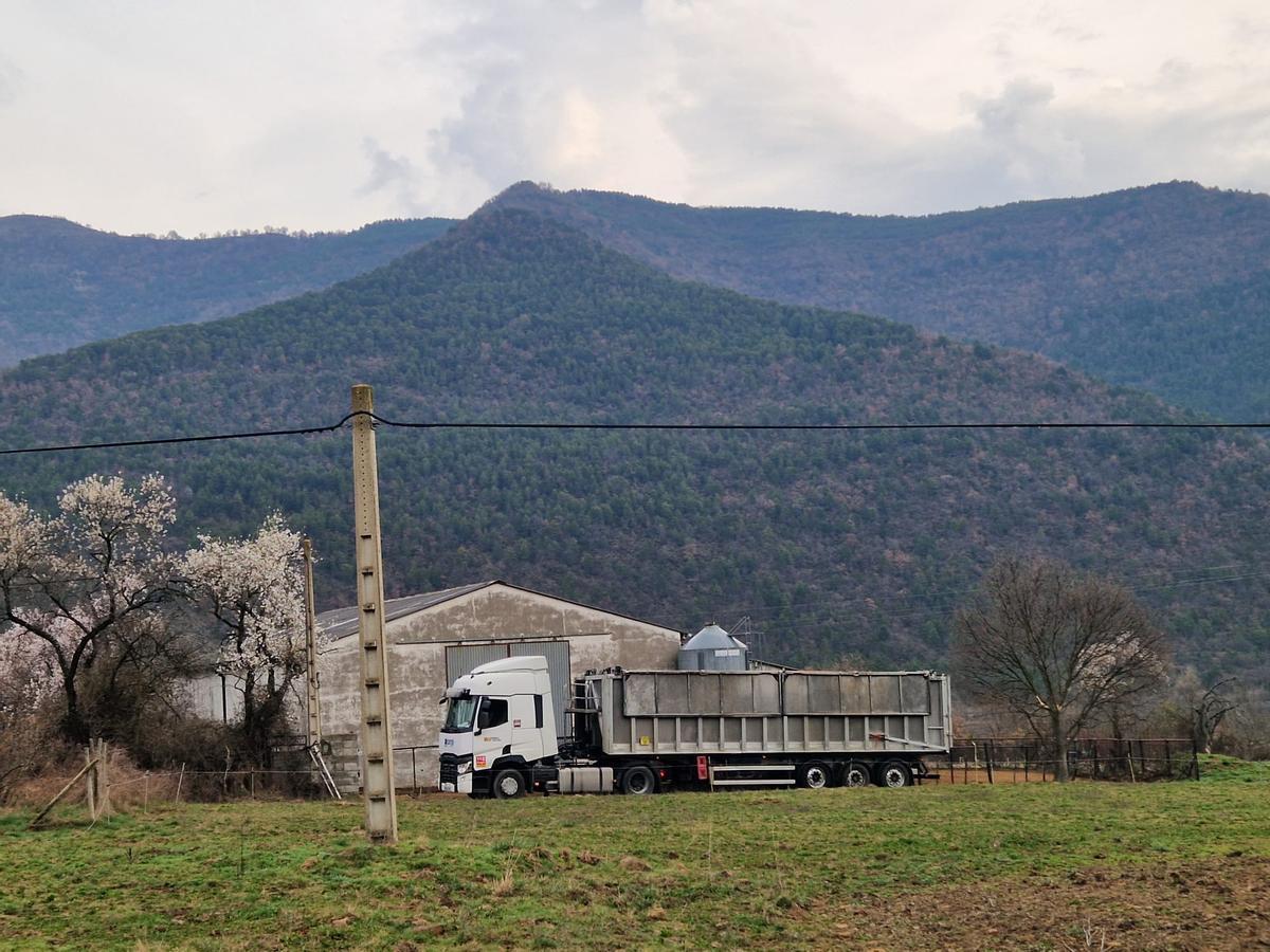 La explotación afectada está cerrada por el Seprona.