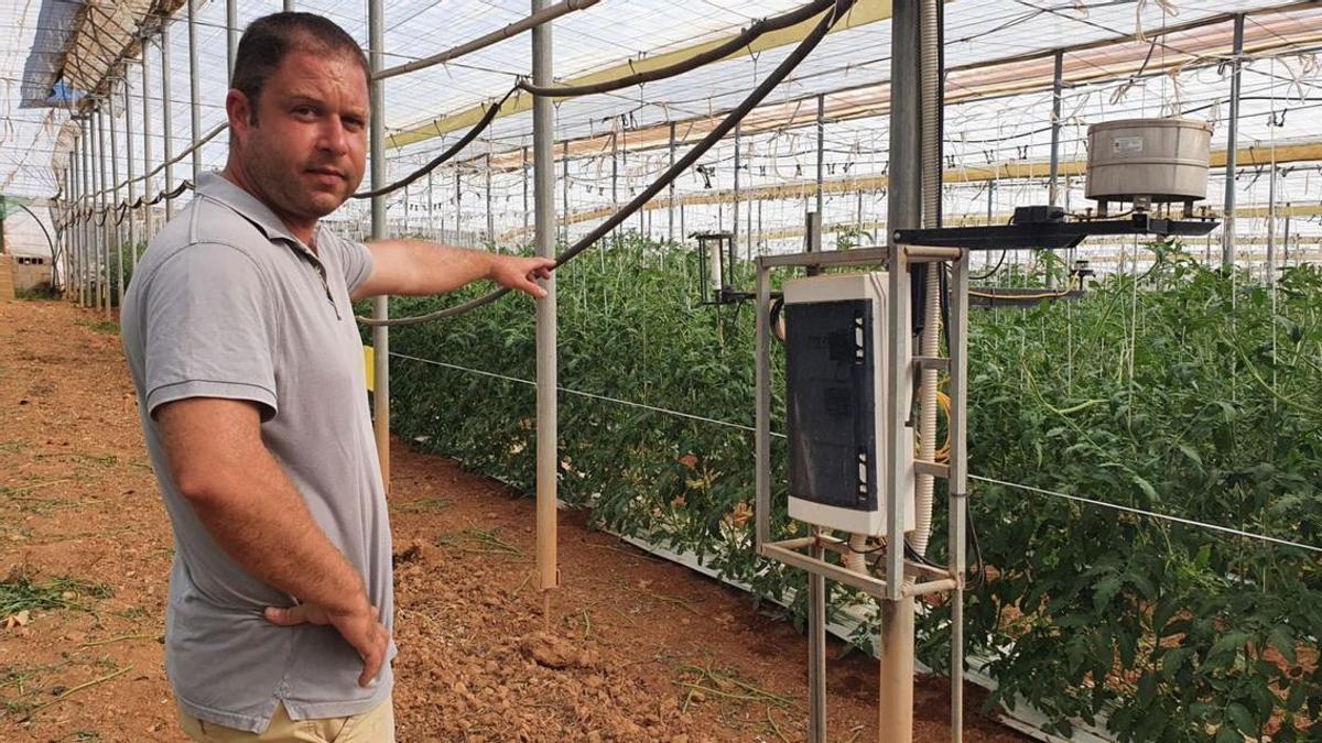 El técnico de Agromallorca explica cómo funcionan los sensores en los invernaderos.