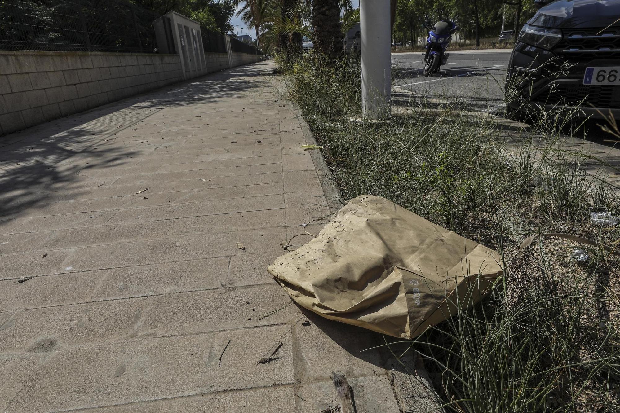 La maleza desborda el Parque Empresarial de Elche