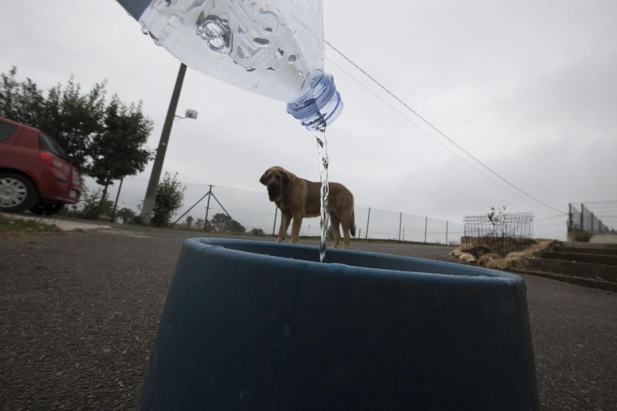 Situación de emergencia en Siero y Llanera por desabastecimiento de agua: más de 12.000 habitantes afectados por una averia