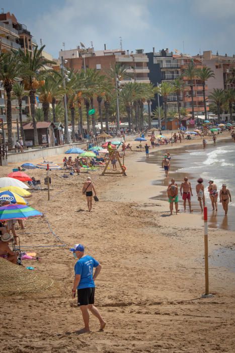 Primer día de baño autorizado en las playas de Torrevieja con arena parcelada y controles de acceso