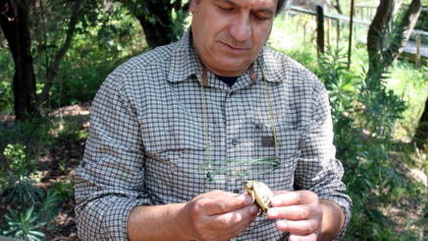 Joan Budó amb una tortuga al centre de Garriguella