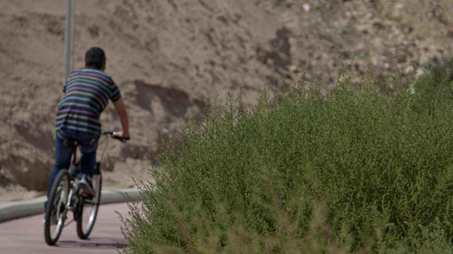 Clases &quot;ciclistas&quot; para alumnos de institutos