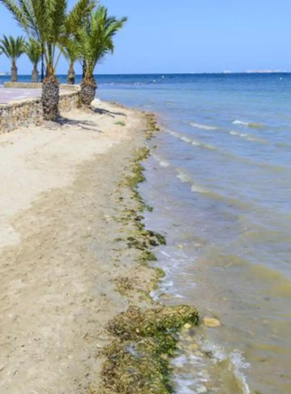 El último temporal baja dos grados la temperatura del Mar Menor