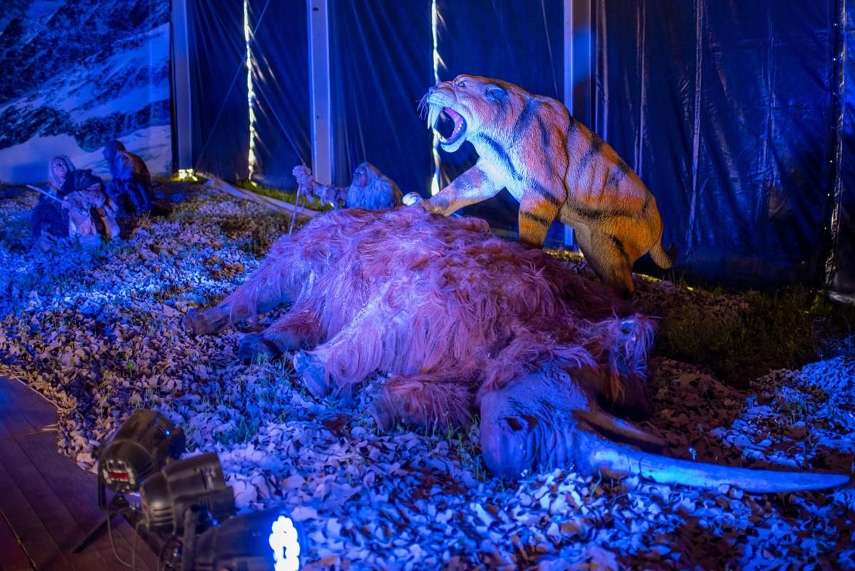 El tigre de diente de sable (Smilodon) es una de las réplicas que se encuentra en la zona dedicada a la Edad de Hielo en Expo Dino XXL