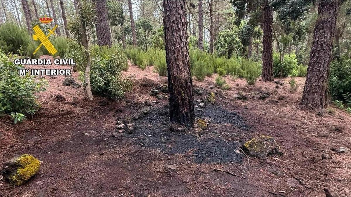 La Guardia Civil detiene al presunto autor de un conato de incendio en la zona de San José de los Llanos, en Icod de los Vinos