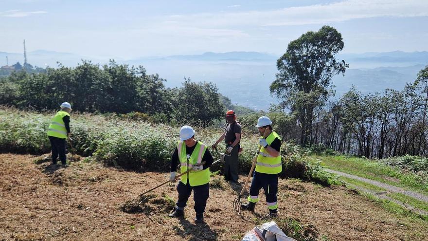 Oviedo creará 61 puestos de trabajo con dos nuevos planes para jóvenes titulados y parados de larga duración