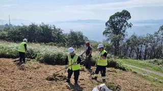 Oviedo creará 61 puestos de trabajo con dos nuevos planes para jóvenes titulados y parados de larga duración