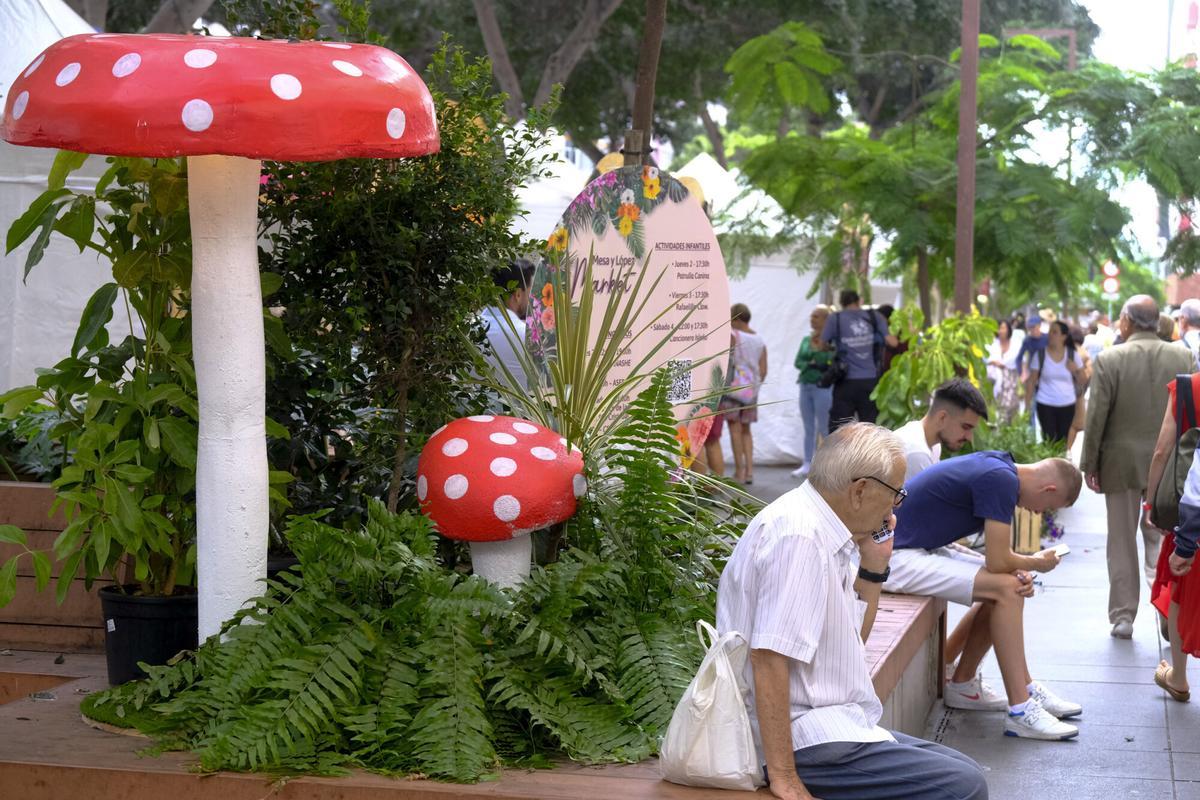 Ambiente en el Mesa y López Market