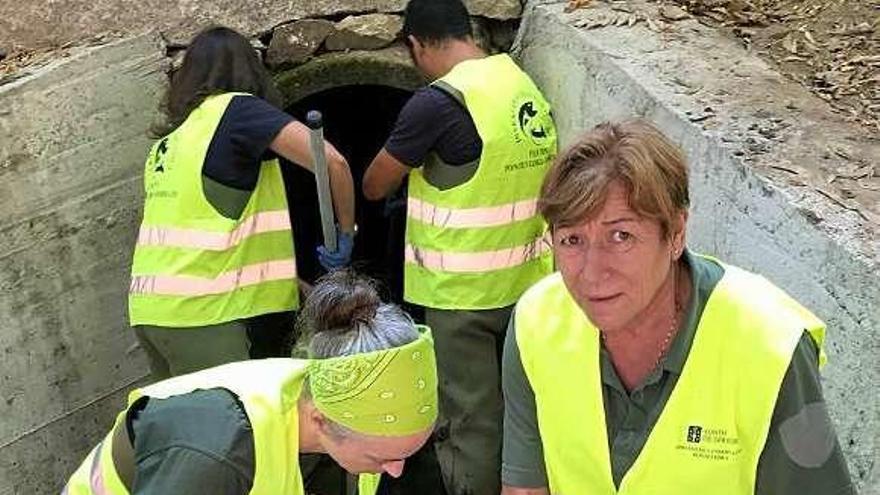 La concejala de Medio Ambiente, Marián Sanmartín, supervisa los trabajos que comenzaron ayer en la laguna artificial. // Santos Álvarez