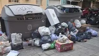 La basura, los malos olores y las plagas desesperan a los vecinos de El Pla-Carolinas