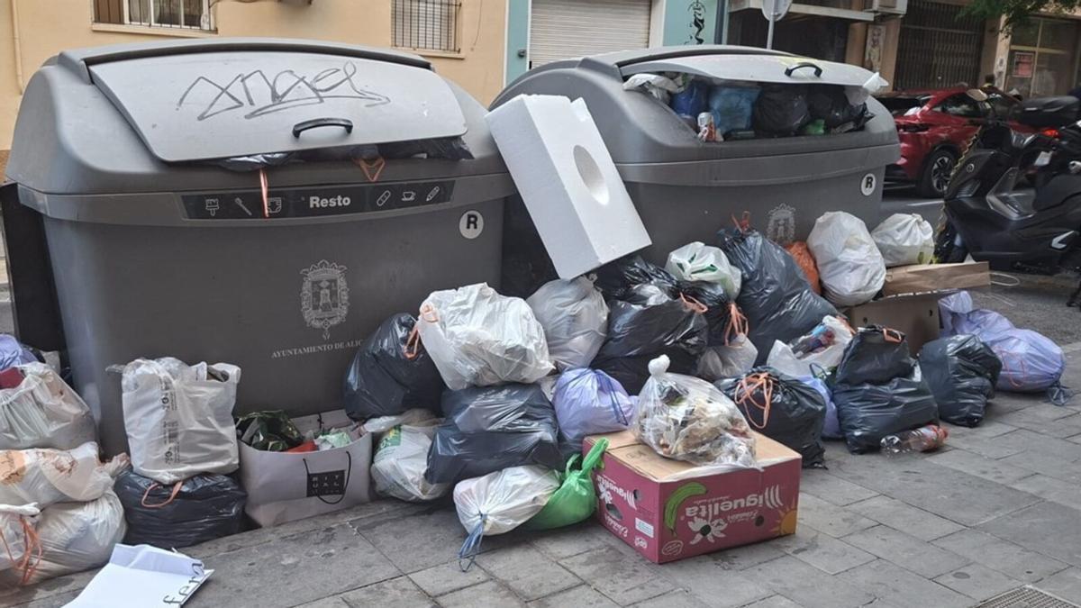 La basura, los malos olores y las plagas desesperan a los vecinos de El Pla-Carolinas