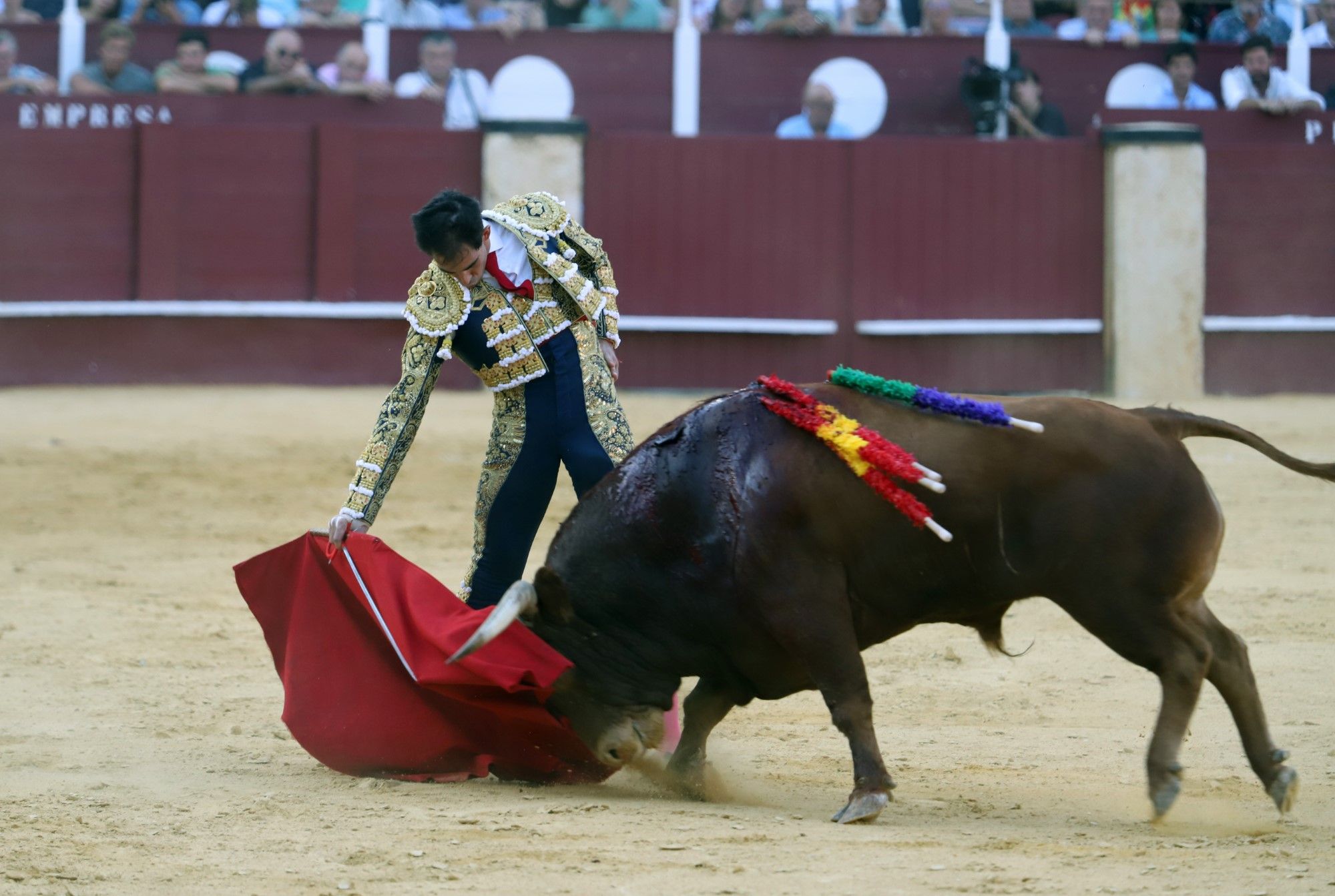 Las imágenes de la cuarta corrida de abono en La Malagueta y de la cogida de Jiménez Fortes