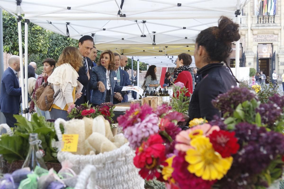 La UCO organiza su Feria de Consumo Sostenible