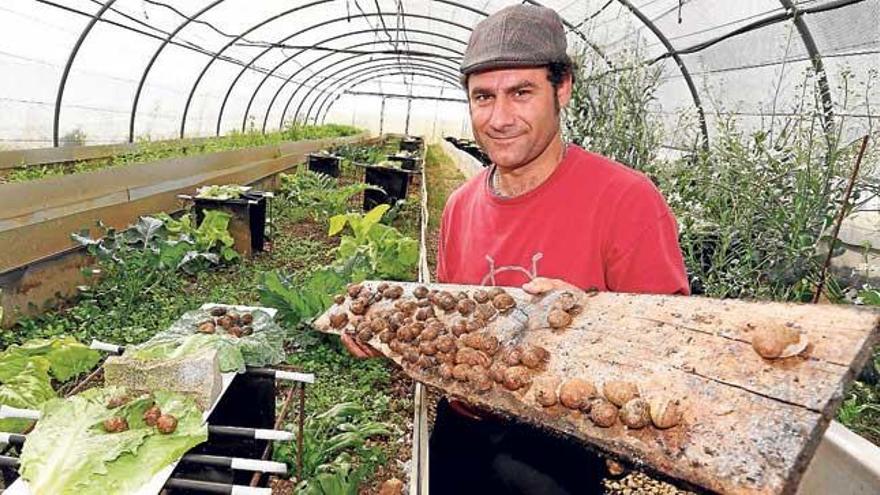 &quot;Freixura&quot; de caracoles sin caparazón