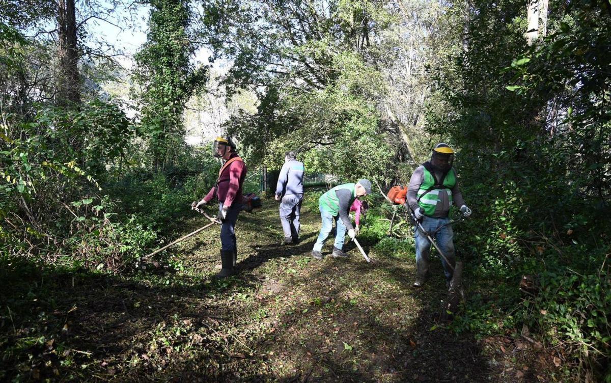 Trabajos de limpieza y desbroce en la mañana de ayer. |  Rafa Vázquez