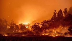 incendios-california