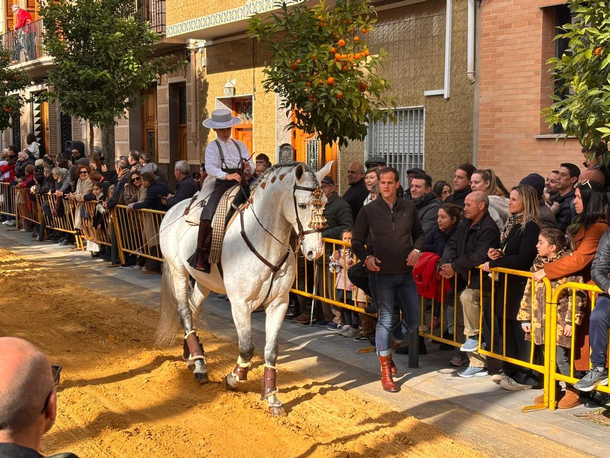 Sant Antoni multitudinario en Albal.