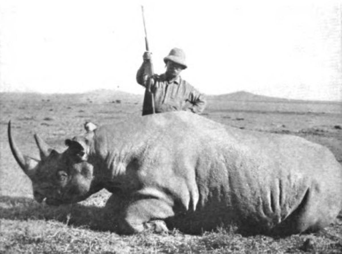 Theodore Roosvelt, junto a un rinoceronte que acaba de matar