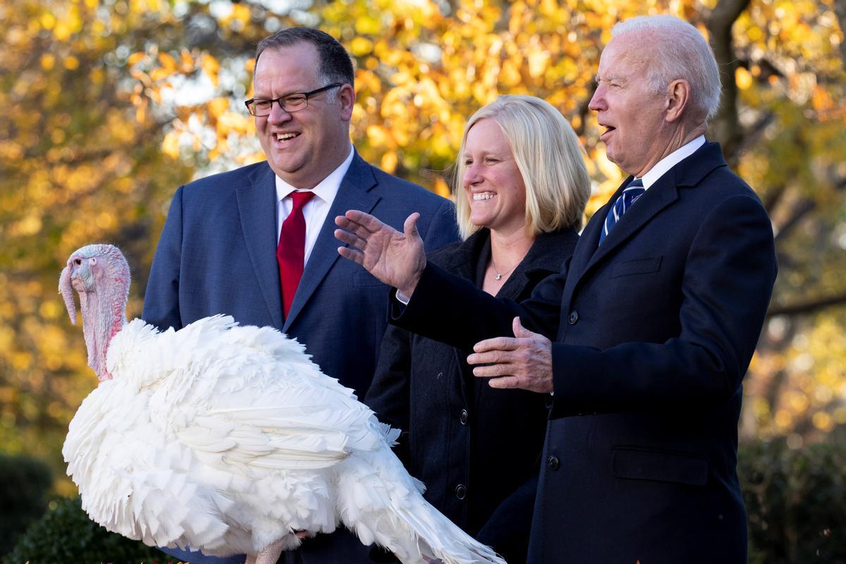 Biden perdona a los pavos de Acción de Gracias, tras someterse a la colonoscopia.