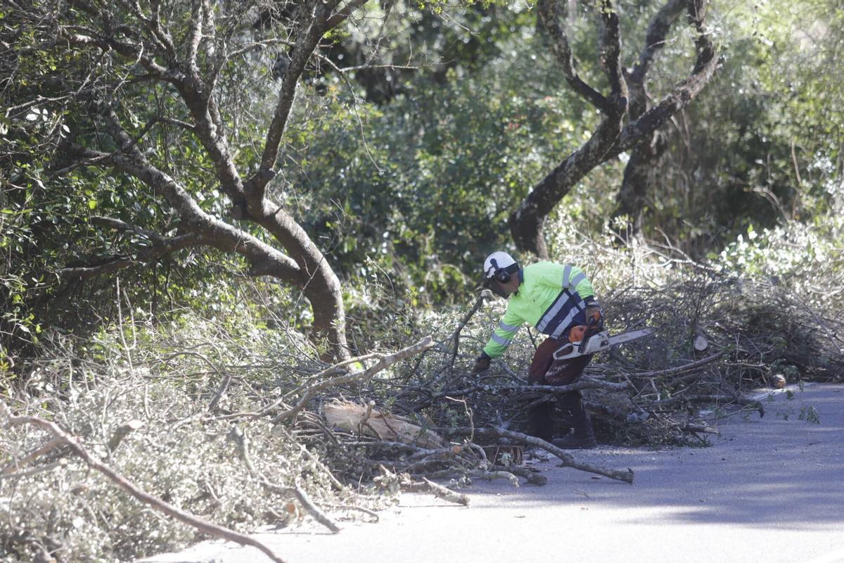 A.J.González Córdoba Limpieza de las cunetas de la carretera de Los Villares por personal trabajadores de Tragsa