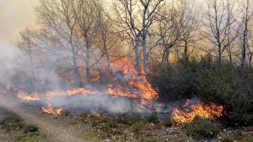 Uno de los incendios de esta tarde en la comarca de Aliste