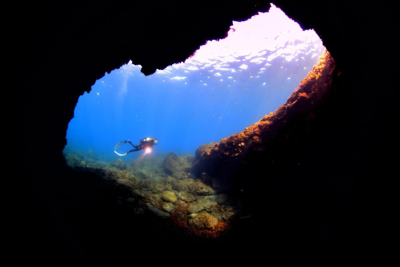 Imágenes del Campeonato de Foto Submarina de El Hierro