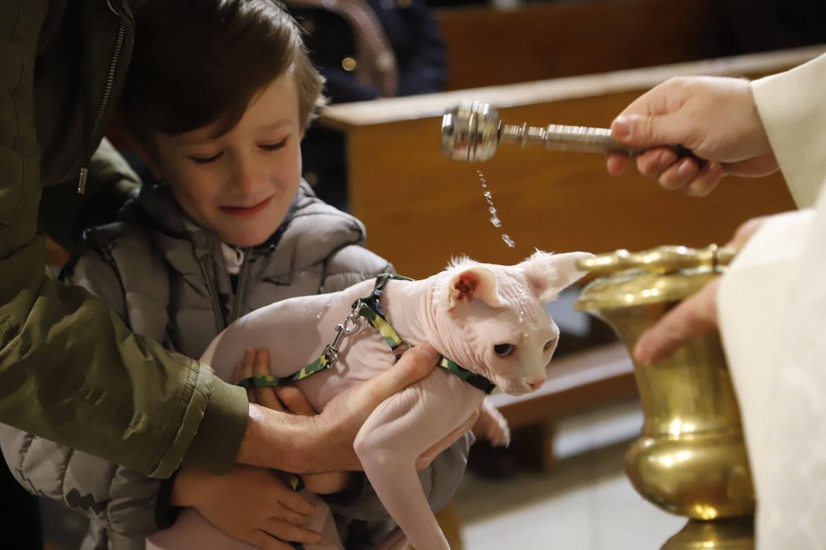 A.J.González Córdoba Día de San Antón en la iglesia de los Trinitarios Padres de Gracia bendición de animales mascotas