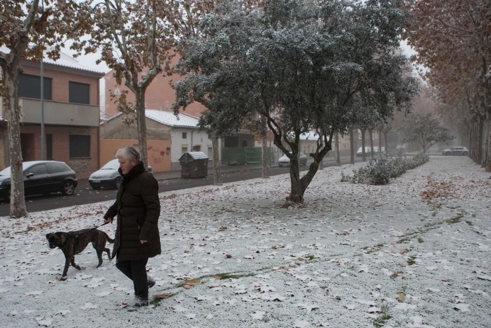 Zamora, cubierta de blanco por la cencellada