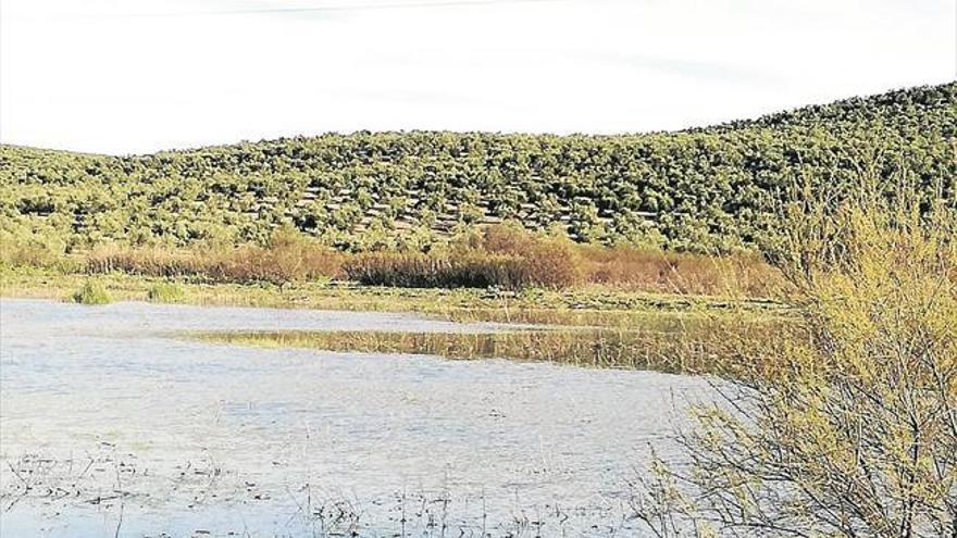 Polémica entre agricultores y Junta por la ampliación de humedales