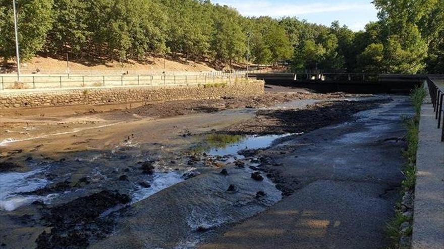 comienza la adecuación  y limpieza del lago