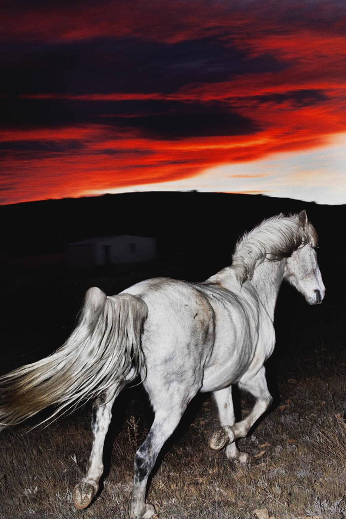 Una de les fotografies de Jesús Monterde que es podran veure en esta nova iniciativa cultural.