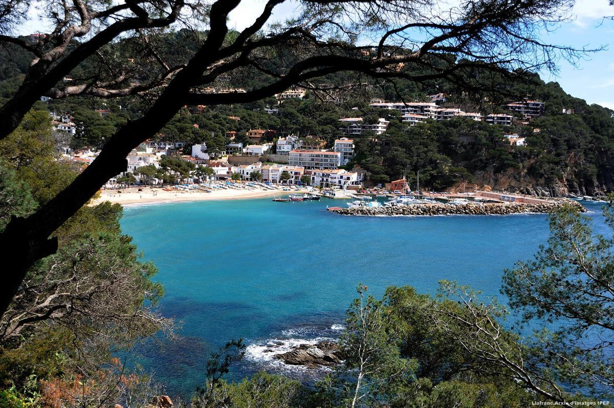 Llafranc vist des del Camí de Ronda