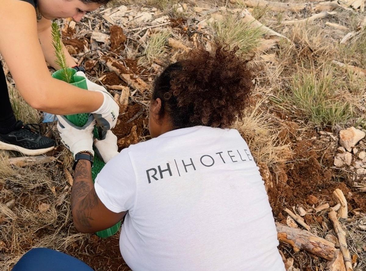 Los equipos participaron en la plantación de especies autóctonas, entre ellas pinos, quejigo y serbal.