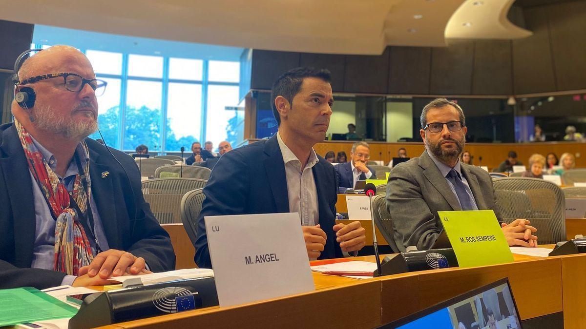 El eurodiputado murciano Marcos Ros, durante su intervención en el pleno de la Comisión de Peticiones.