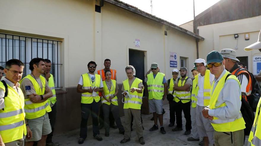 La colonia de gaviotas Audouin se recupera con más de 1.900 parejas