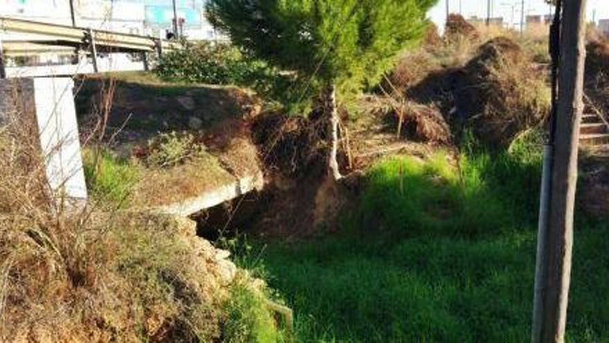 El torrente de Ca na Parra, repleto de vegetación, en el tramo que atraviesa la autovía.