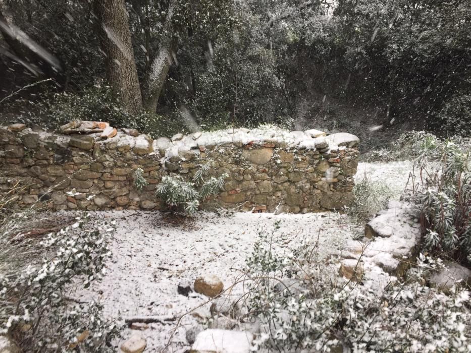 Neu al Pla de l'Estany.