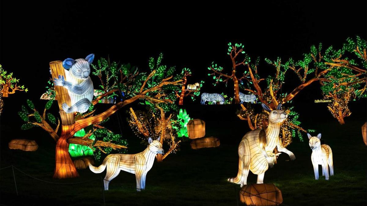 'Brilla Zoo' en Getafe