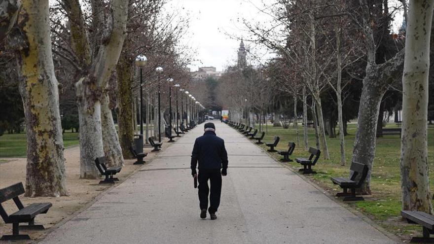 El Tribunal de Contratos invalida parte de los pliegos de los parques